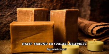Halep Sabunu Faydaları Nelerdir?