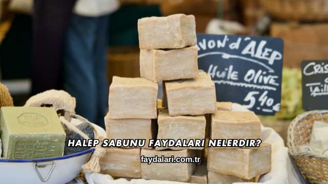 Halep Sabunu Faydaları Nelerdir?
