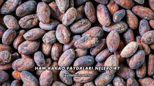 Ham Kakao Faydaları Nelerdir?