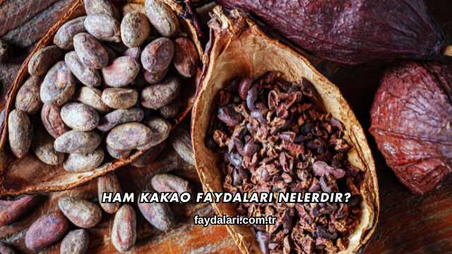 Ham Kakao Faydaları Nelerdir?