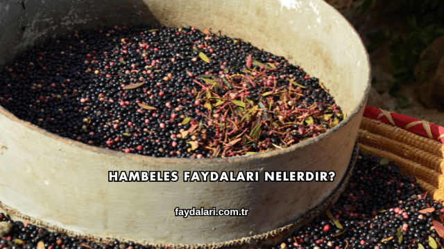 Hambeles Faydaları Nelerdir?