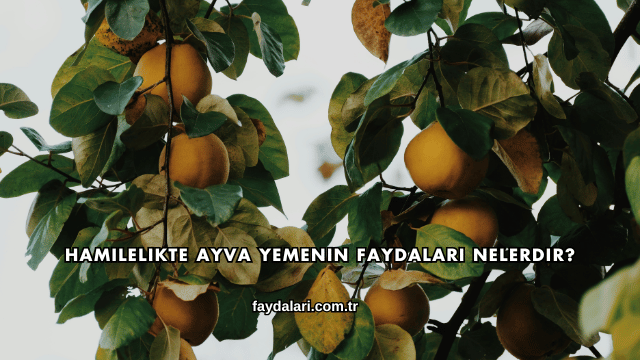 Hamilelikte Ayva Yemenin Faydaları Nelerdir?