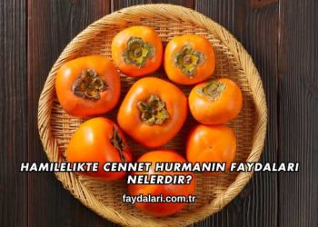 Hamilelikte Cennet Hurmanın Faydaları Nelerdir?