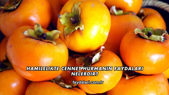 Hamilelikte Cennet Hurmanın Faydaları Nelerdir?