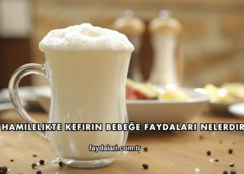 Hamilelikte Kefirin Bebeğe Faydaları Nelerdir?