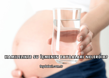 Hamilelikte Su İçmenin Faydaları Nelerdir?