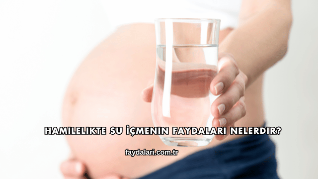 Hamilelikte Su İçmenin Faydaları Nelerdir?