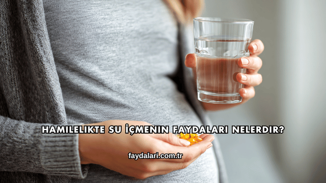 Hamilelikte Su İçmenin Faydaları Nelerdir?