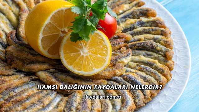 Hamsi Balığının Faydaları Nelerdir?