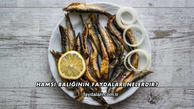 Hamsi Balığının Faydaları Nelerdir?