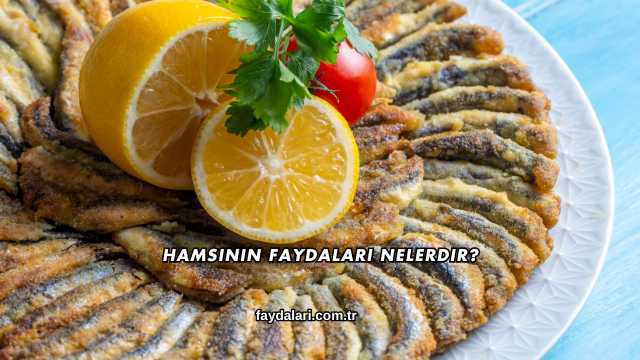 Hamsinin Faydaları Nelerdir?
