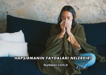 Hapşırmanın Faydaları Nelerdir?