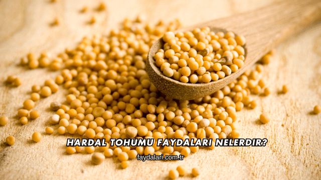 Hardal Tohumu Faydaları Nelerdir?