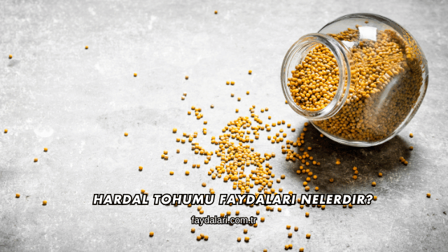 Hardal Tohumu Faydaları Nelerdir?