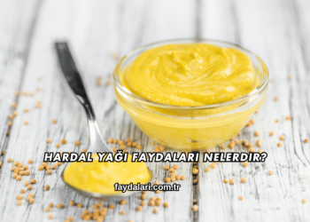 Hardal Yağı Faydaları Nelerdir?