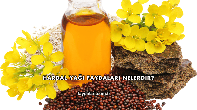 Hardal Yağı Faydaları Nelerdir?