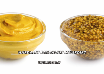 Hardalın Faydaları Nelerdir?