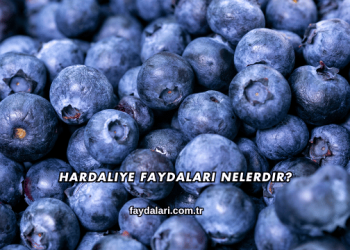 Hardaliye Faydaları Nelerdir?