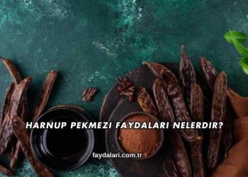 Harnup Pekmezi Faydaları Nelerdir?