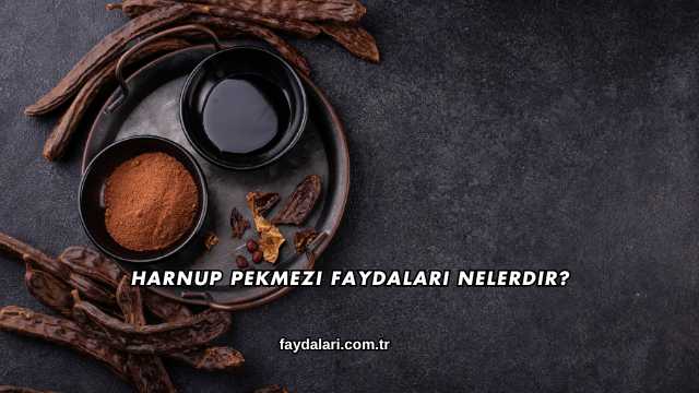 Harnup Pekmezi Faydaları Nelerdir?