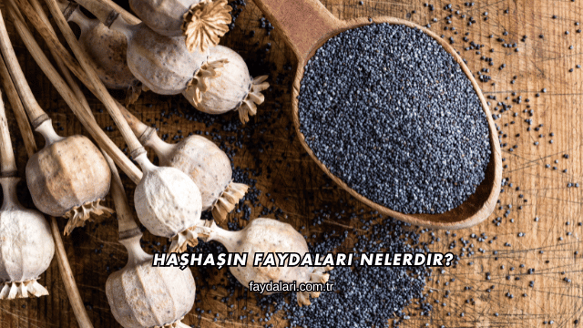 Haşhaşın Faydaları Nelerdir?