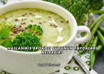 Haşlanmış Brokoli Suyunun Faydaları Nelerdir?