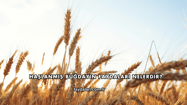 Haşlanmış Buğdayın Faydaları Nelerdir?