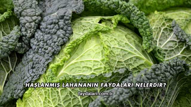 Haşlanmış Lahananın Faydaları Nelerdir?
