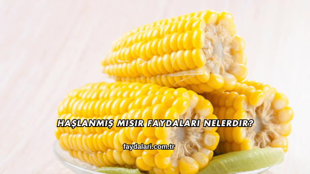 Haşlanmış Mısır Faydaları Nelerdir?