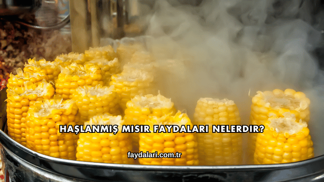 Haşlanmış Mısır Faydaları Nelerdir?