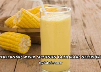 Haşlanmış Mısır Suyunun Faydaları Nelerdir?