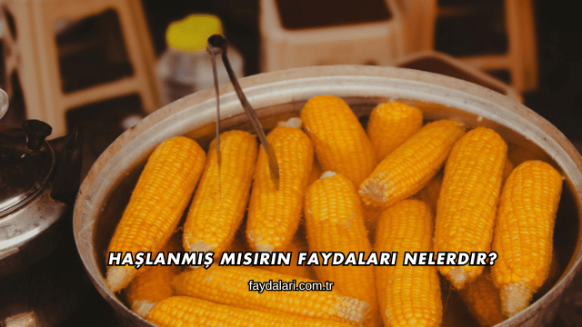 Haşlanmış Mısırın Faydaları Nelerdir?