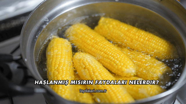 Haşlanmış Mısırın Faydaları Nelerdir?