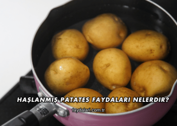 Haşlanmış Patates Faydaları Nelerdir?