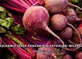 Haşlanmış Şeker Pancarının Faydaları Nelerdir?
