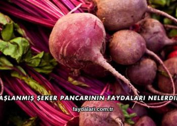 Haşlanmış Şeker Pancarının Faydaları Nelerdir?