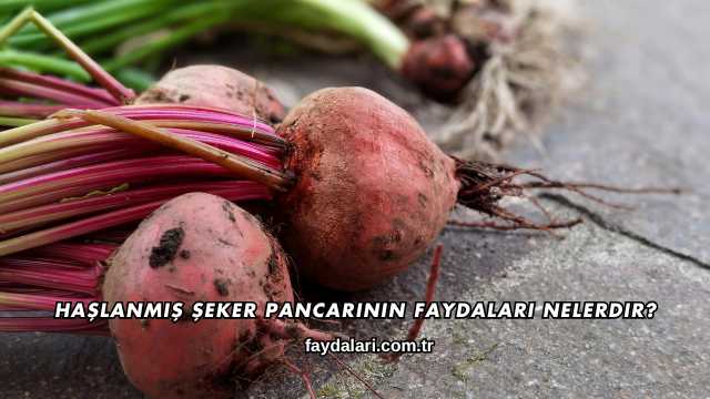 Haşlanmış Şeker Pancarının Faydaları Nelerdir?