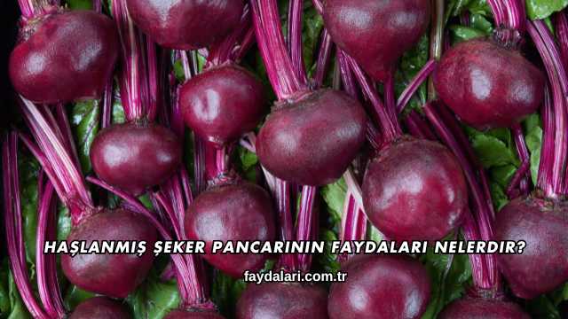 Haşlanmış Şeker Pancarının Faydaları Nelerdir?