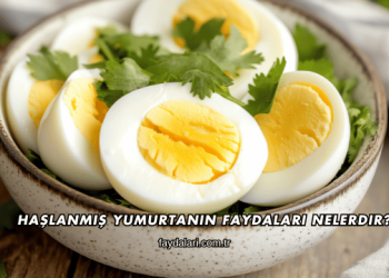 Haşlanmış Yumurtanın Faydaları Nelerdir?