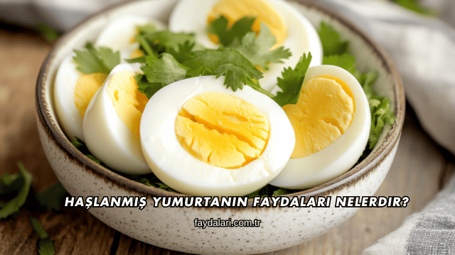 Haşlanmış Yumurtanın Faydaları Nelerdir?