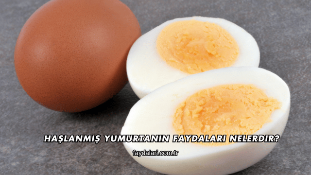 Haşlanmış Yumurtanın Faydaları Nelerdir?