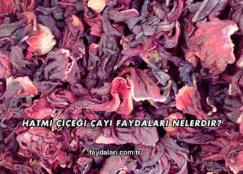 Hatmi Çiçeği Çayı Faydaları Nelerdir?