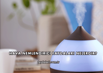 Hava Nemlendirici Faydaları Nelerdir?