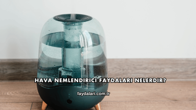 Hava Nemlendirici Faydaları Nelerdir?
