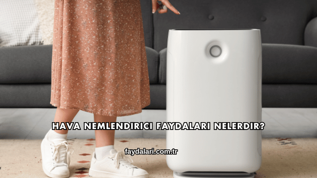 Hava Nemlendirici Faydaları Nelerdir?