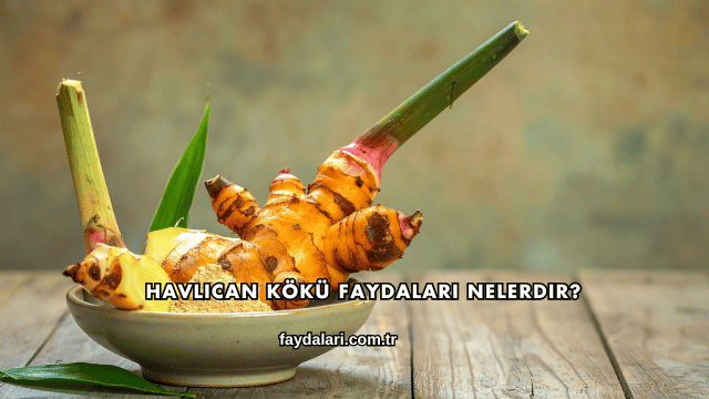 Havlıcan Kökü Faydaları Nelerdir?