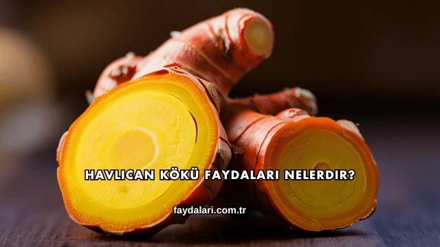 Havlıcan Kökü Faydaları Nelerdir?