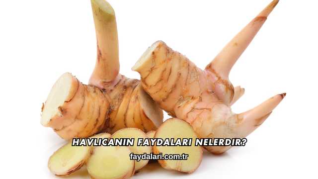 Havlıcanın Faydaları Nelerdir