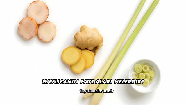 Havlıcanın Faydaları Nelerdir