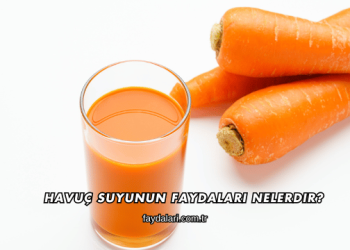 Havuç Suyunun Faydaları Nelerdir?